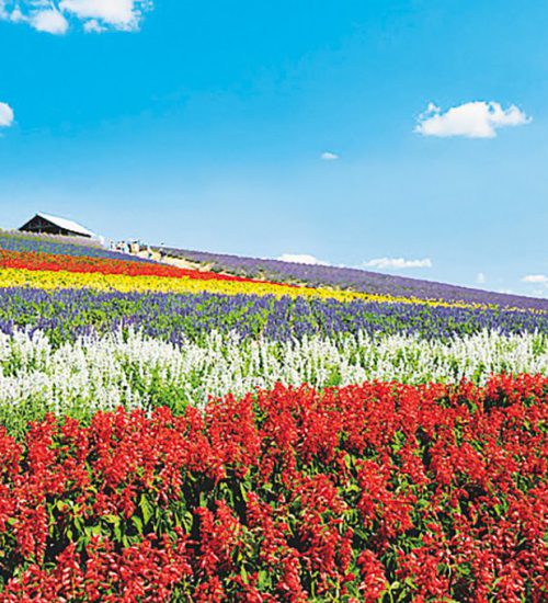 Top 10 nhà máy được đánh giá cao tại Hokkaido