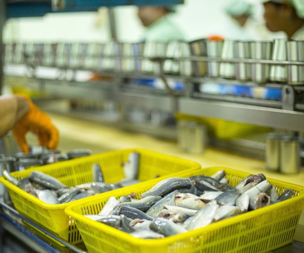 Tuyển dụng đơn hàng chế biến thủy hải sản không qua xử lí nhiệt – BV1716