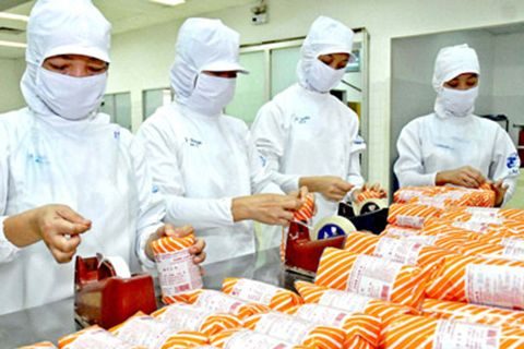 Tuyển dụng đơn hàng đóng gói, kiểm tra phân loại bánh mì – BV1485