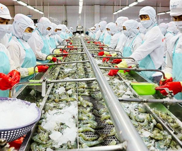 Tuyển dụng đơn hàng chế biến thủy hải sản không qua xử lí nhiệt – BV1318