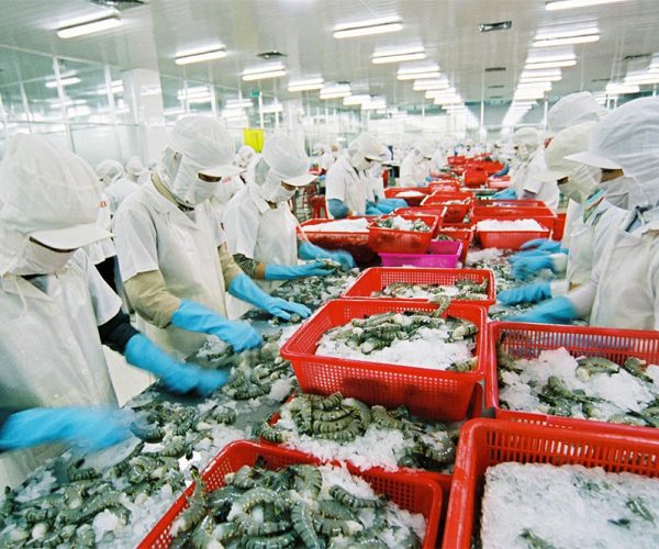 Tuyển dụng đơn hàng Sơ chế hàu – BV1734