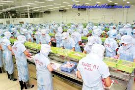 Tuyển dụng đơn hàng chế biến thủy hải sản – BV1591BS