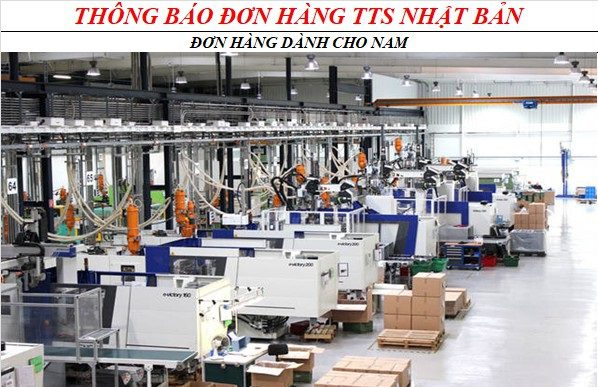Tuyển dụng đơn hàng sản xuất hộp/thùng giấy và carton – BV1759T